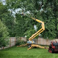 Best Lot and Land Clearing  in Bridgeport, WV