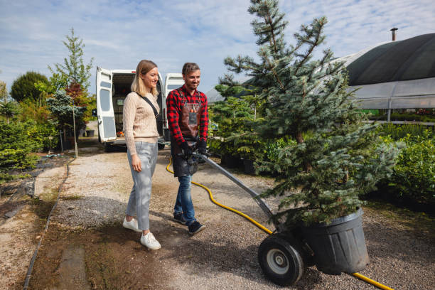 Best Pest Control for Lawns  in Bridgeport, WV